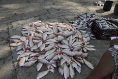 Zee-en-strand-en-lokale-vissers-Riohacha-Colombia-RG-1