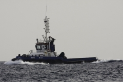 Caribische zee sleepboot