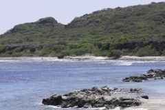 Caribische zee